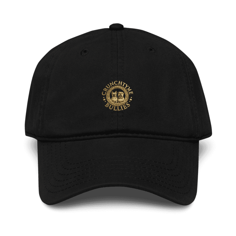 Garment Washed Baseball Cap