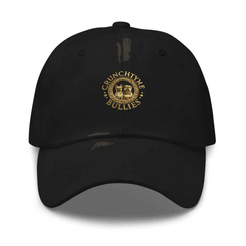 Dad Hat